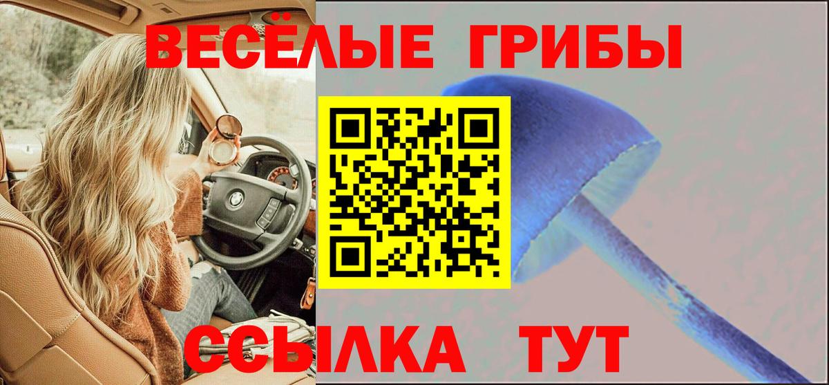 Златоуст  Псилоцибиновые грибы мухоморы  Вход с VPN  наркошоп  Галлюциногенные грибы Psilocybine cubensis 